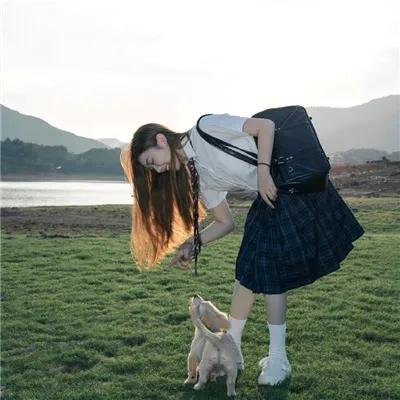 哈莉·奎茵第三季